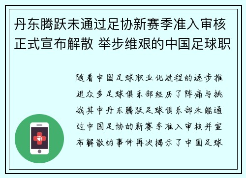 丹东腾跃未通过足协新赛季准入审核正式宣布解散 举步维艰的中国足球职业化困境再现