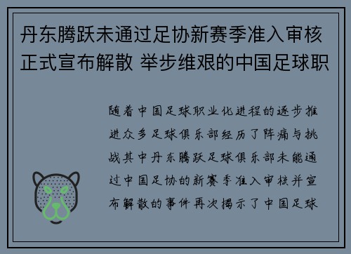丹东腾跃未通过足协新赛季准入审核正式宣布解散 举步维艰的中国足球职业化困境再现